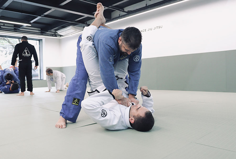 img-Alliance-Programa-Iniciante02