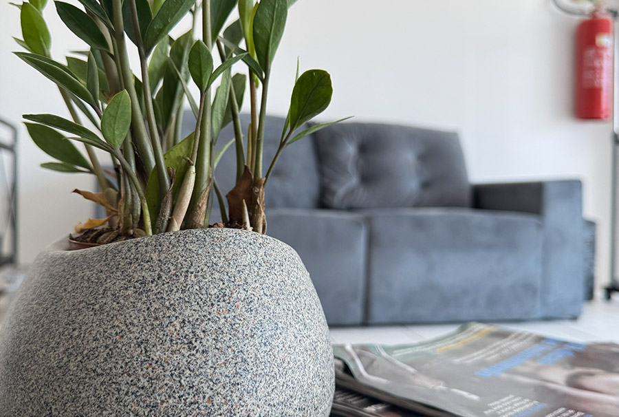 Alliance Jiu Jitsu Teresópolis (RS)